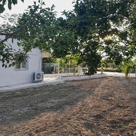 Alibaba Villa Near Airport And Beach Даламан Екстер'єр фото