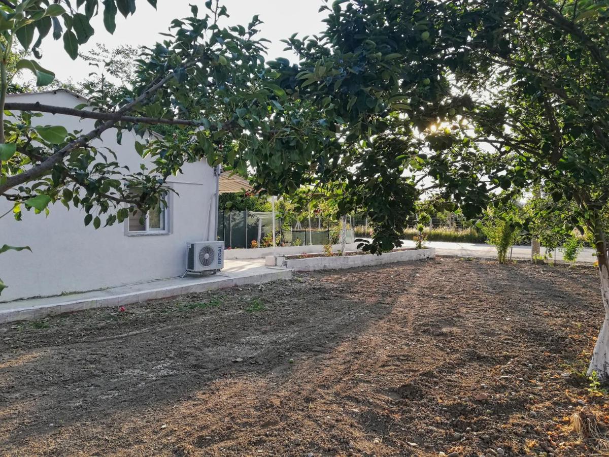 Alibaba Villa Near Airport And Beach Даламан Екстер'єр фото